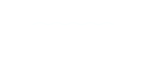 고양